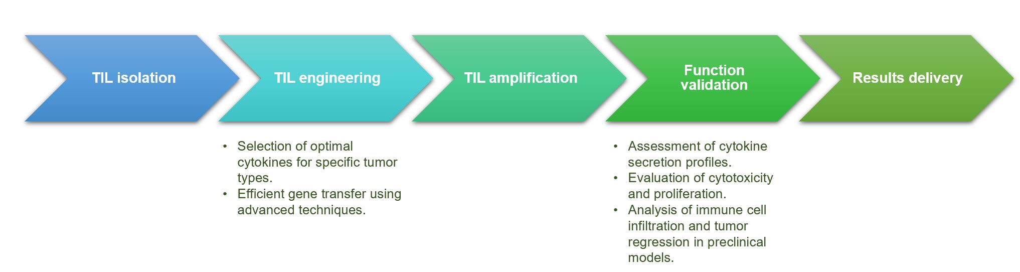 Fig.2 Service process. (Creative Biolabs Original)